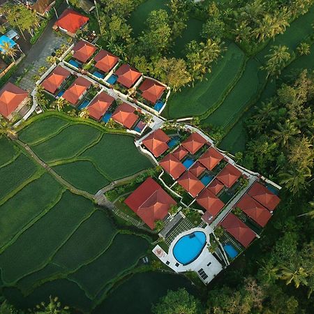 Vrindavan Ubud Villa Tegallalang  Kültér fotó