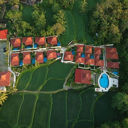 Vrindavan Ubud Villa Tegallalang  Kültér fotó