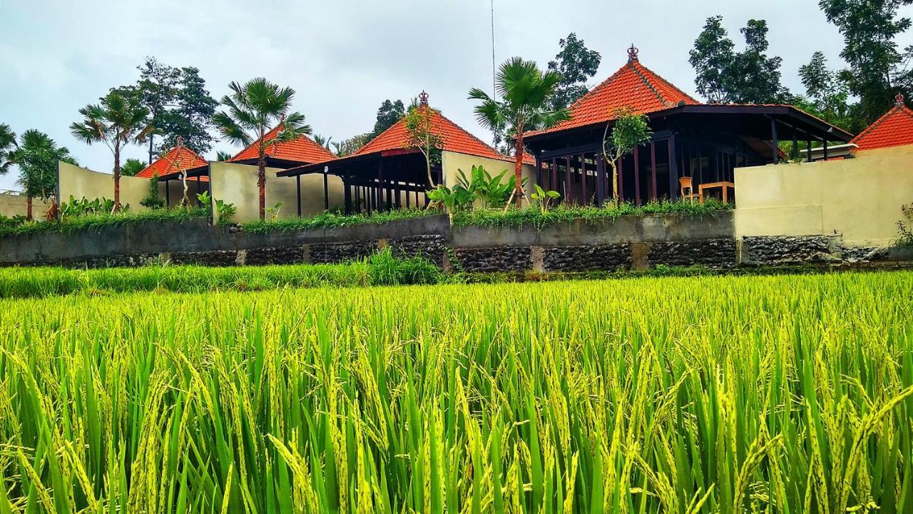 Vrindavan Ubud Villa Tegallalang  Kültér fotó