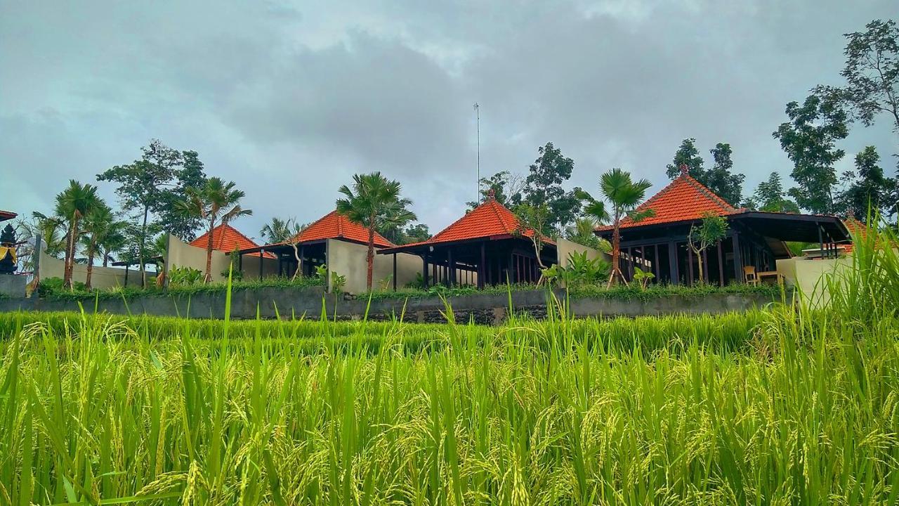 Vrindavan Ubud Villa Tegallalang  Kültér fotó