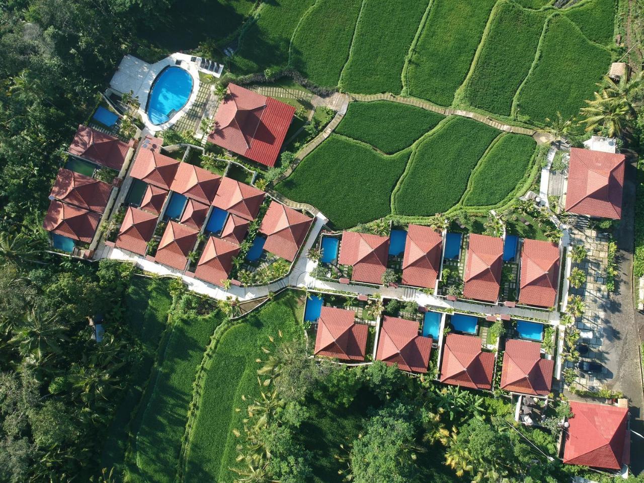 Vrindavan Ubud Villa Tegallalang  Kültér fotó