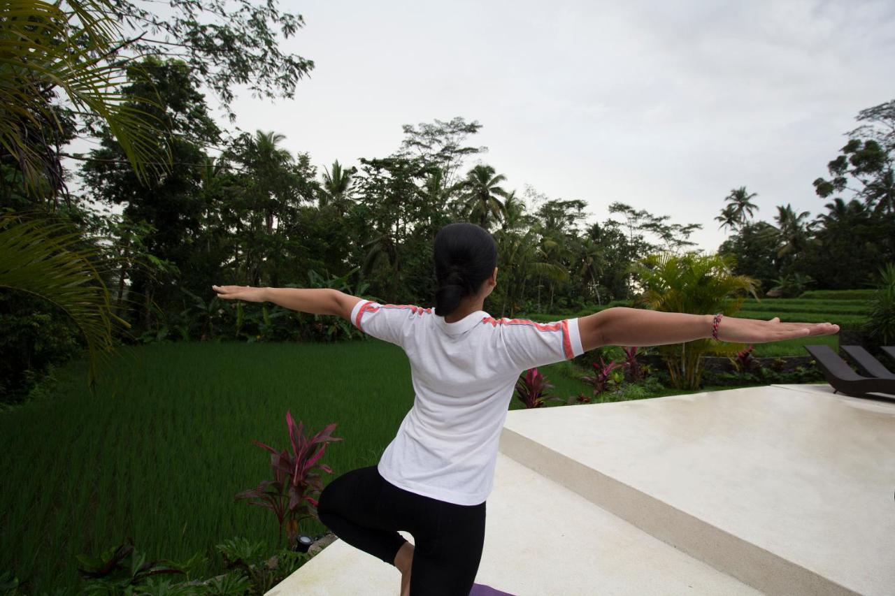 Vrindavan Ubud Villa Tegallalang  Kültér fotó