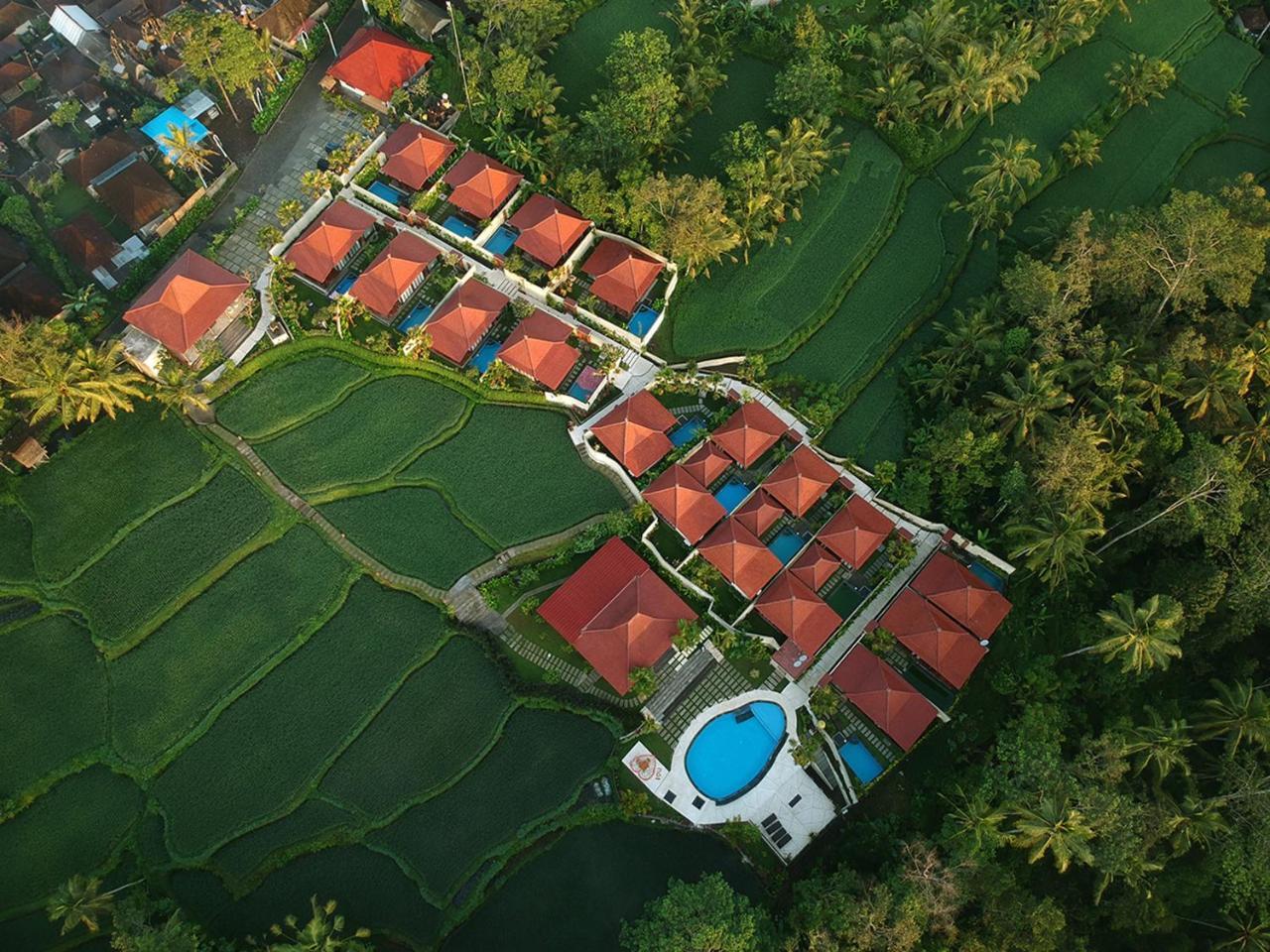 Vrindavan Ubud Villa Tegallalang  Kültér fotó