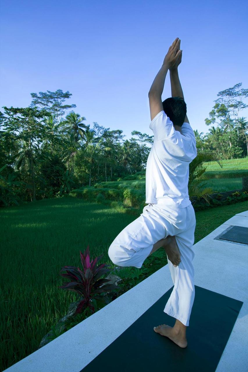 Vrindavan Ubud Villa Tegallalang  Kültér fotó