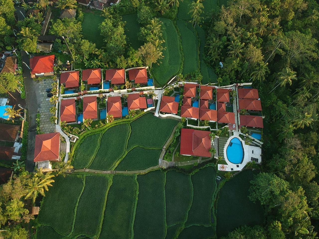 Vrindavan Ubud Villa Tegallalang  Kültér fotó