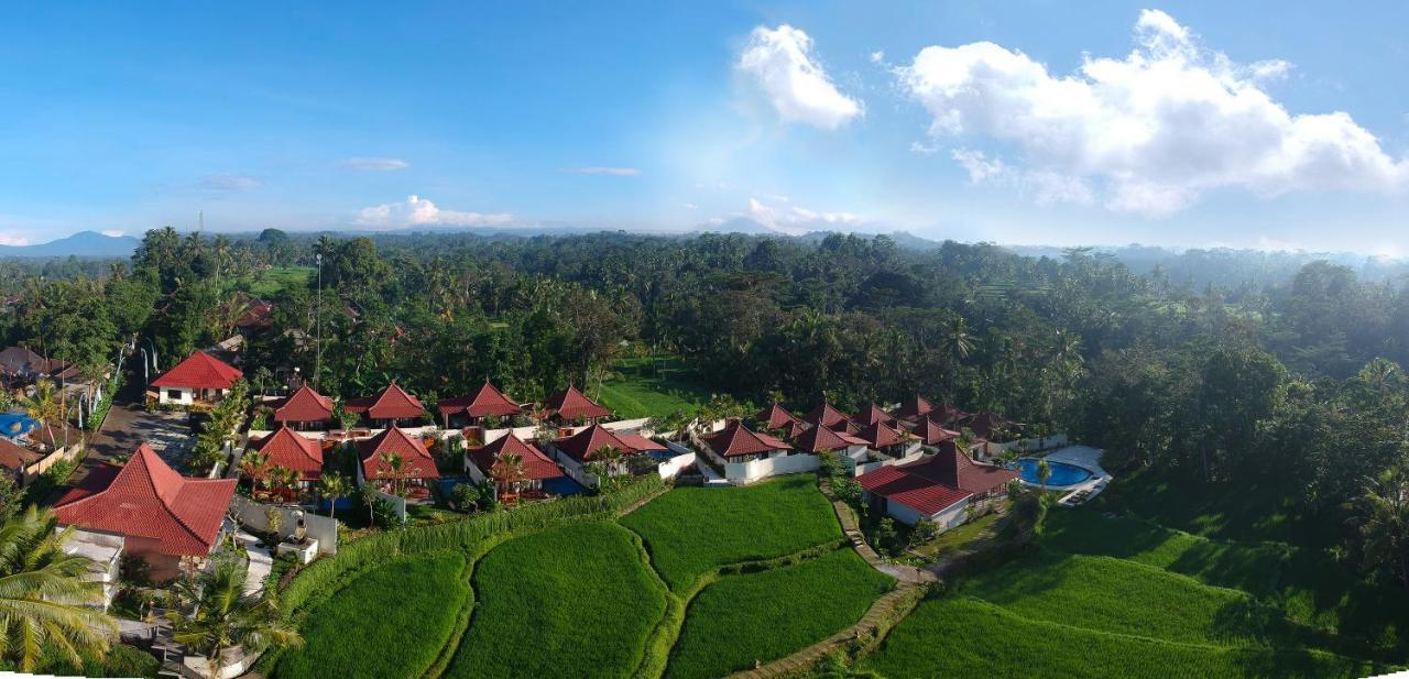 Vrindavan Ubud Villa Tegallalang  Kültér fotó